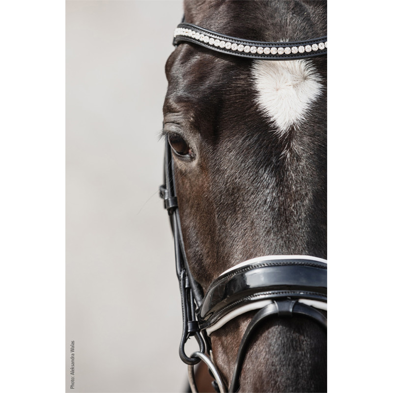 Select Malibu Bridle