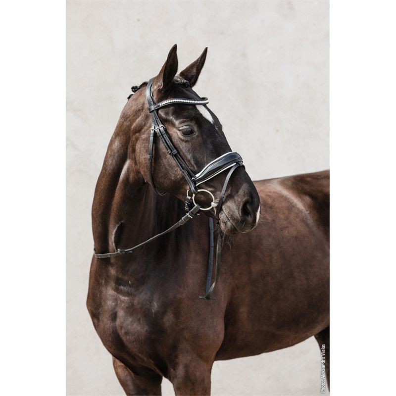 Select Malibu Bridle