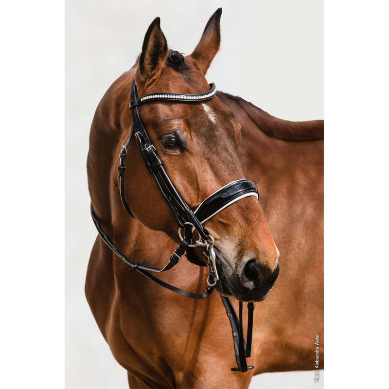 Double Bridle Select Venice