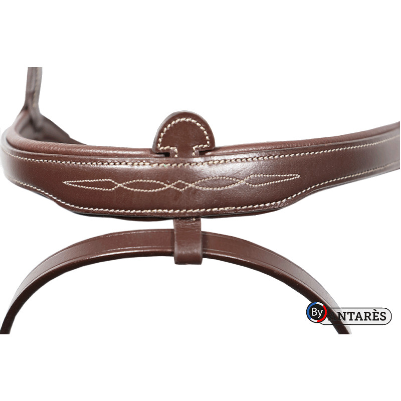 Signature Bridle Antares Combined Noseband