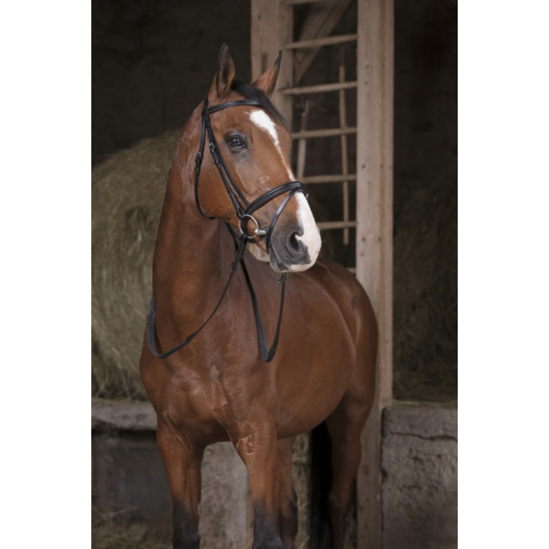 Rubber Reins