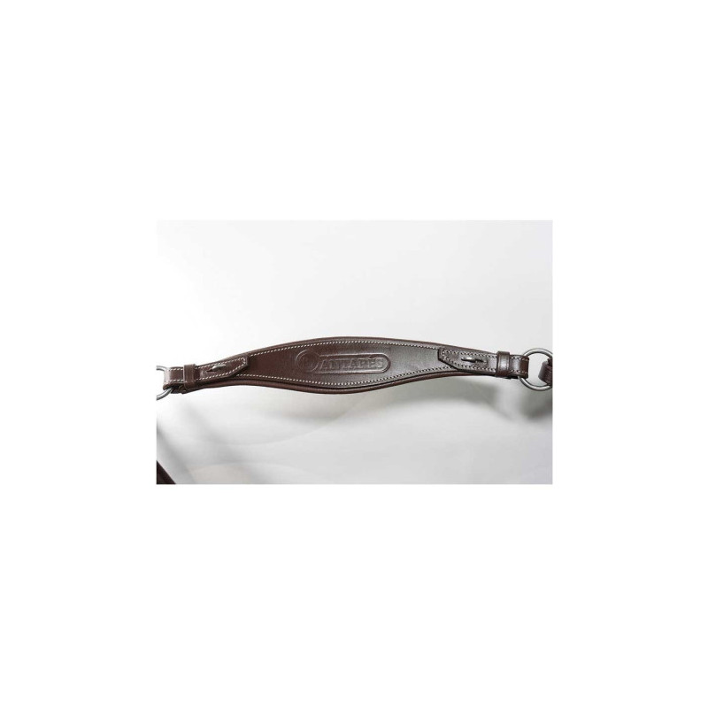 Hunting collar with bridge - Antarès