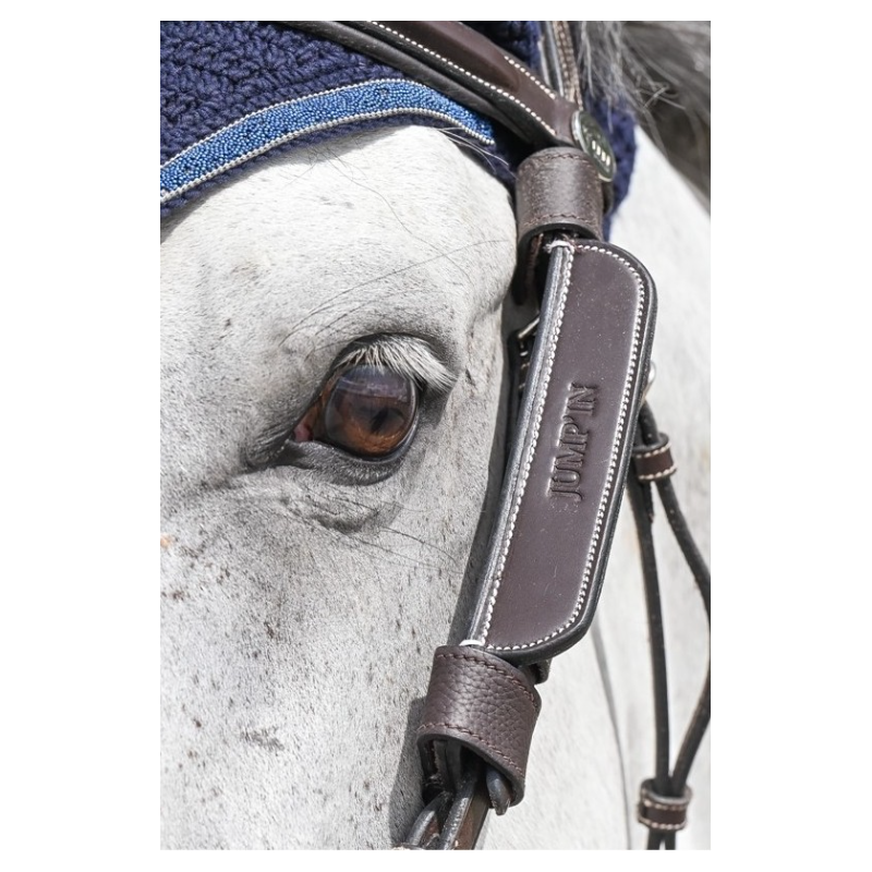 Focus Blinkers Dy'on