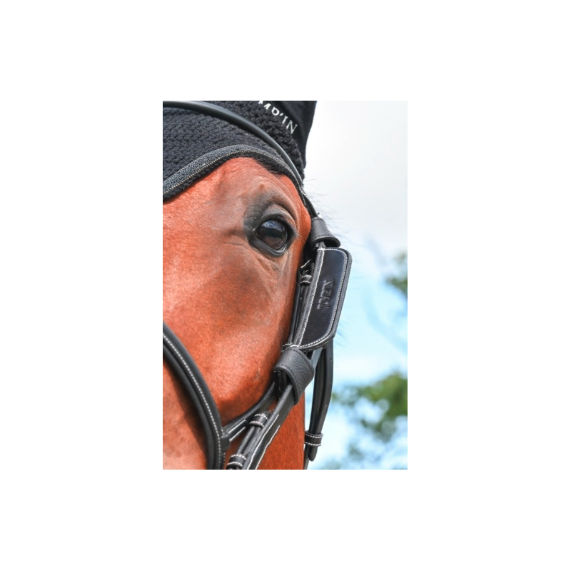 Focus Blinkers Dy'on