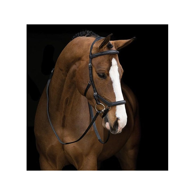 Rambo Micklem deluxe competition bridle
