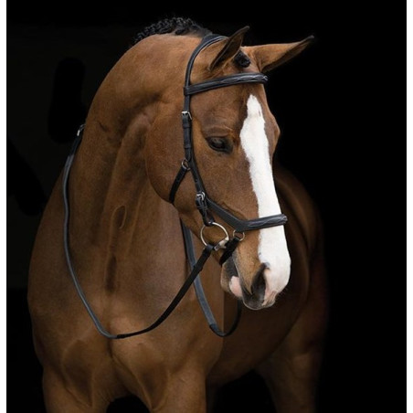 Rambo Micklem deluxe competition bridle
