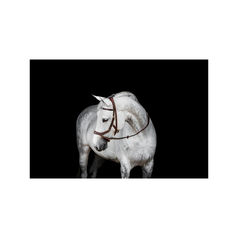Micklem version 2 Multibridle