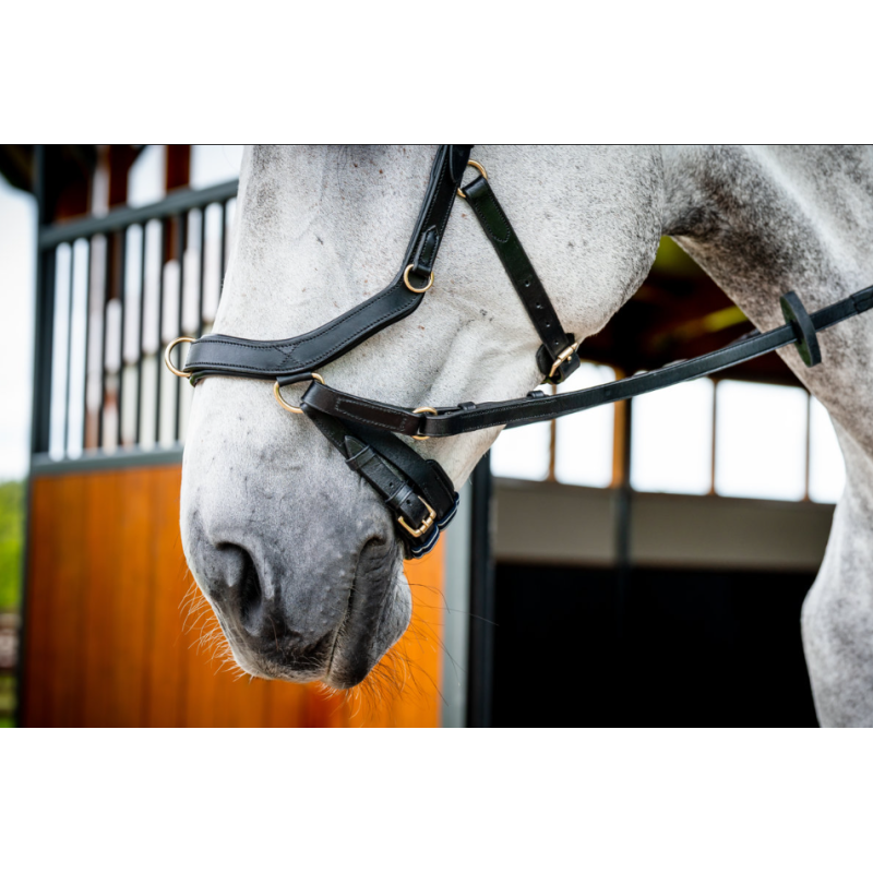 Micklem version 2 Multibridle