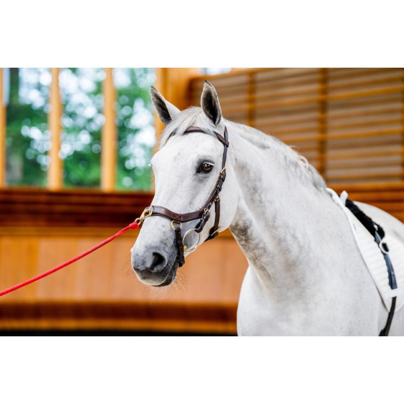 Micklem version 2 Multibridle