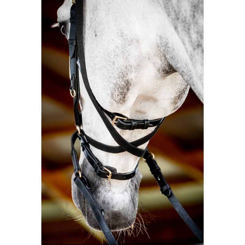 Micklem version 2 Multibridle
