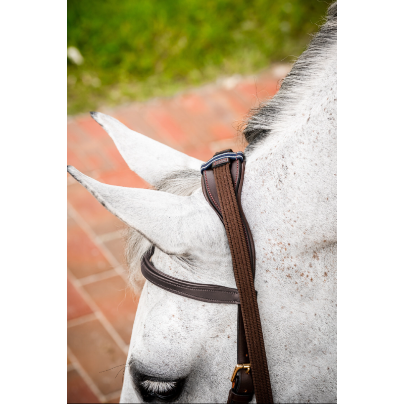 Micklem version 2 Multibridle