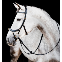 Micklem version 2 Multibridle