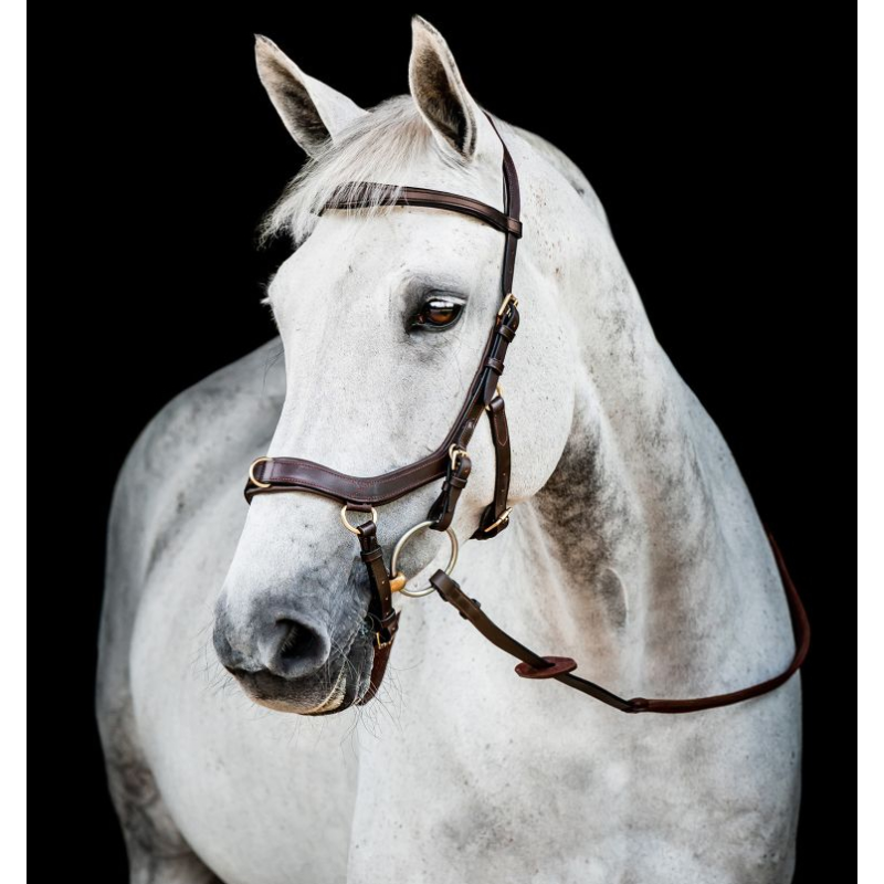 Micklem version 2 Multibridle