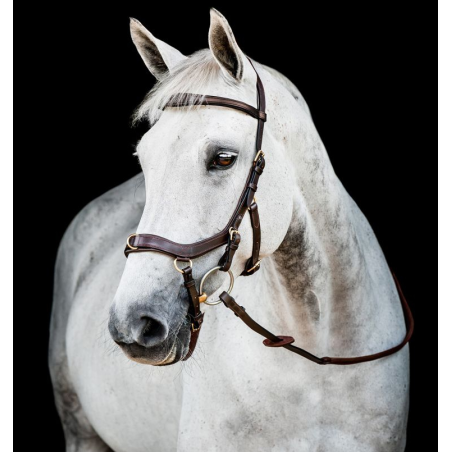 Bridon Micklem version 2 multibridle