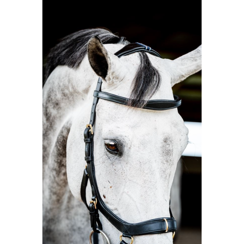 Micklem version 2 Multibridle