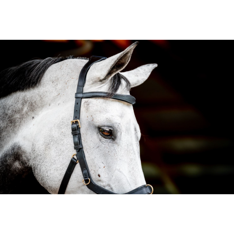 Micklem version 2 Multibridle