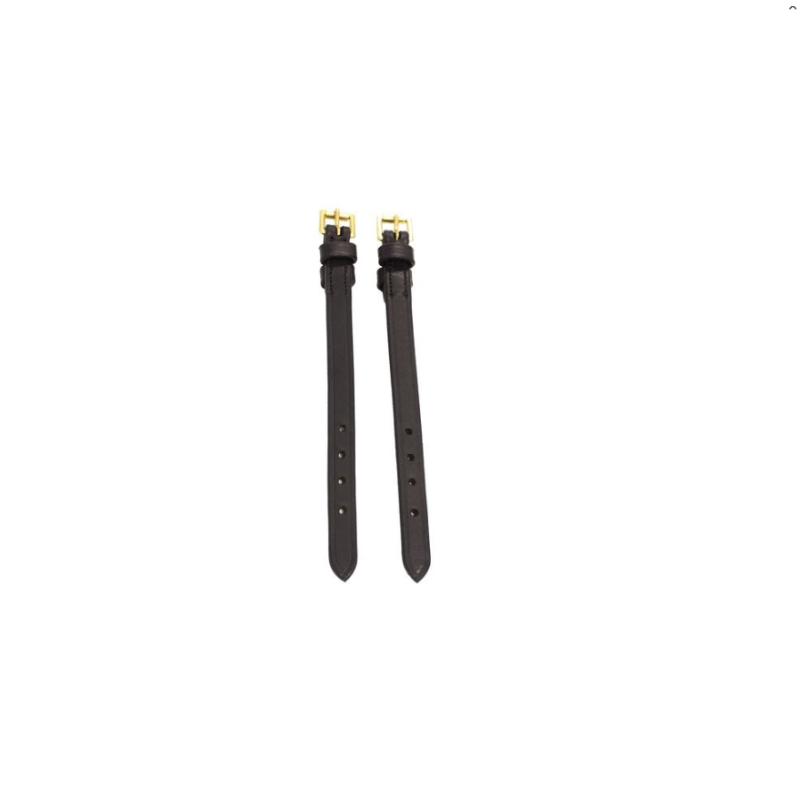 Micklem version 2 Multibridle
