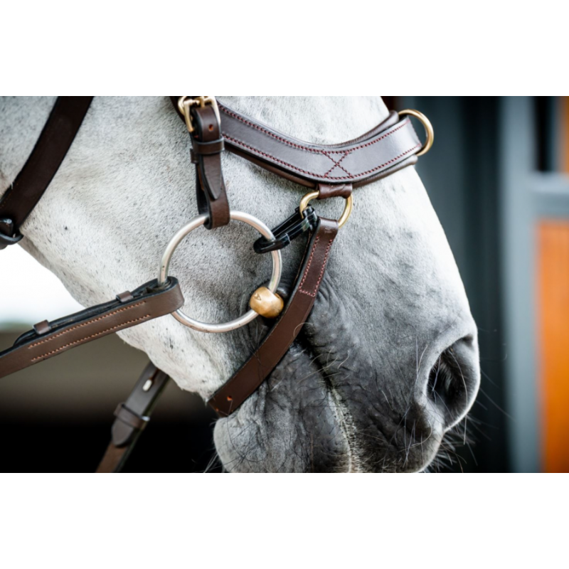 Micklem version 2 Multibridle