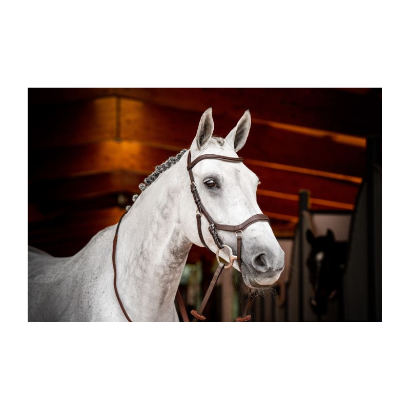 Bridle Micklem version 2 Competition