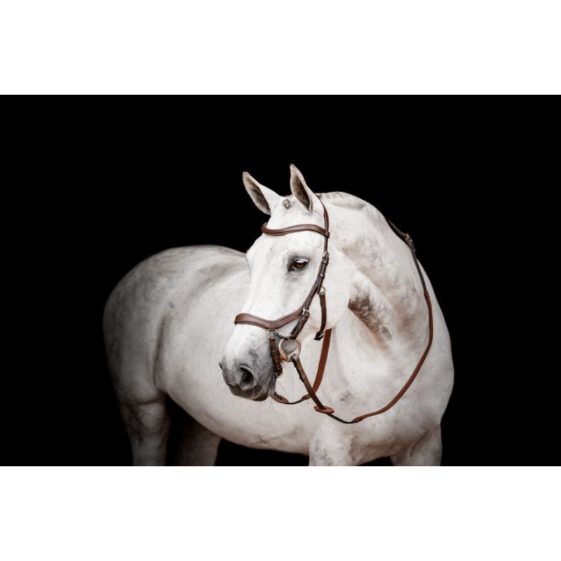 Bridle Micklem version 2 Competition