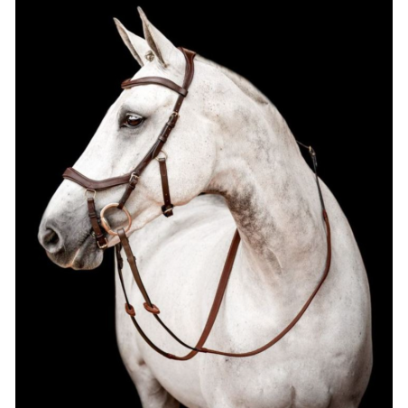 Bridle Micklem version 2 Competition