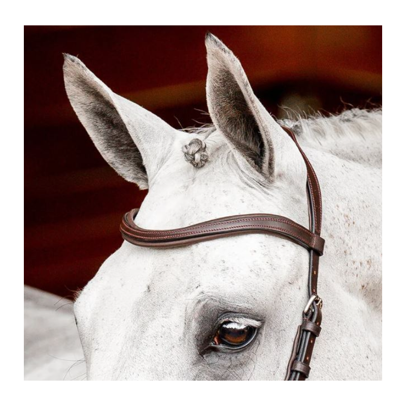 Bridle Micklem version 2 Competition