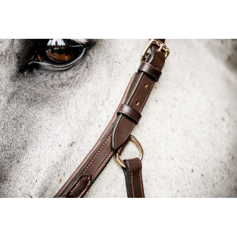 Bridle Micklem version 2 Competition