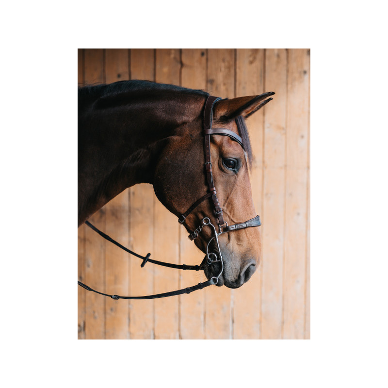 Long branches of Tandem or Hackamore OTTO