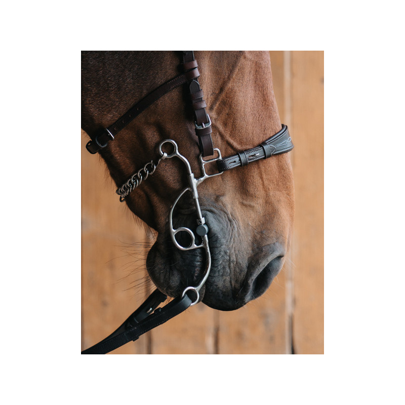 Long branches of Tandem or Hackamore OTTO