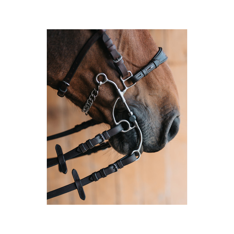 Long branches of Tandem or Hackamore OTTO