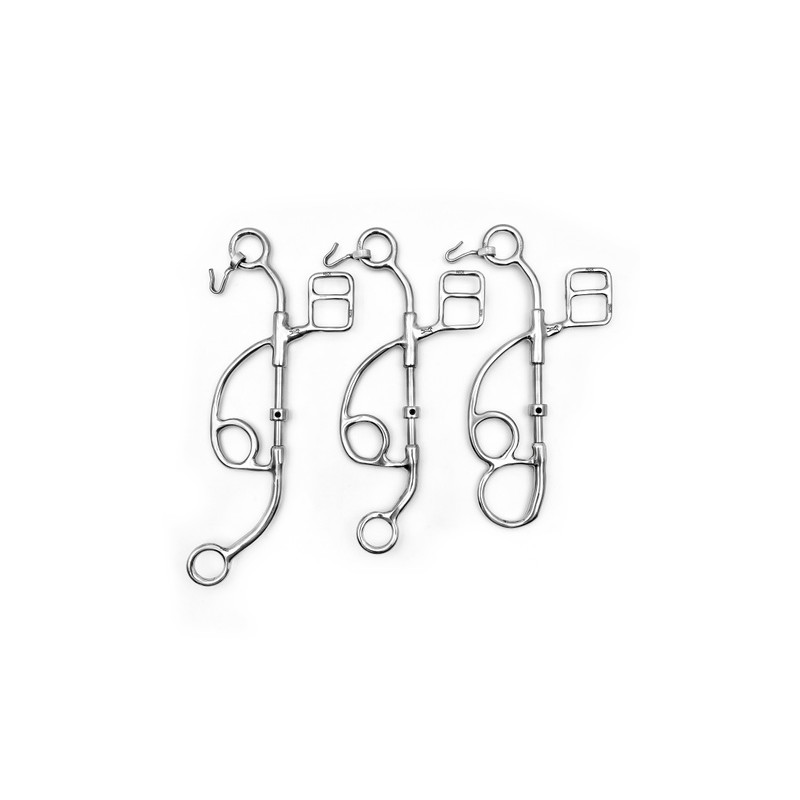 Branches moyennes de Tandem ou Hackamore OTTO