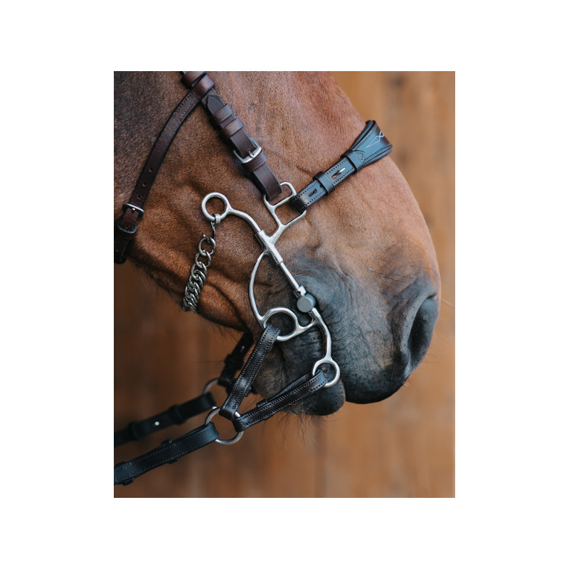 Medium branches of Tandem or Hackamore OTTO
