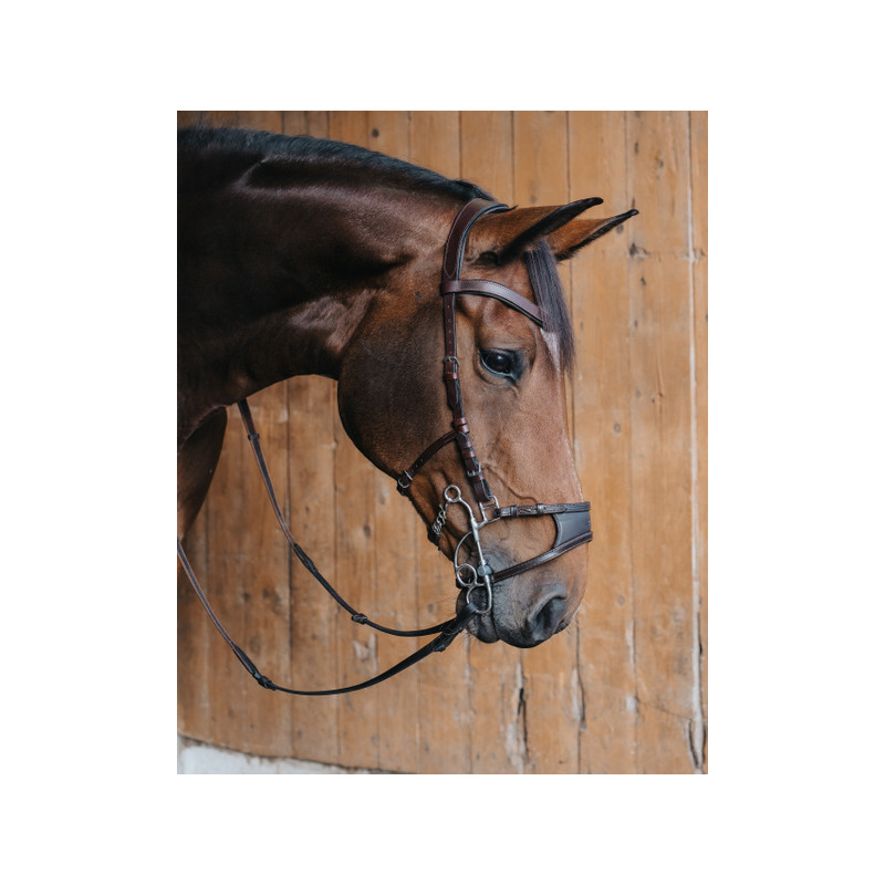 Short branches of Tandem or Hackamore OTTO
