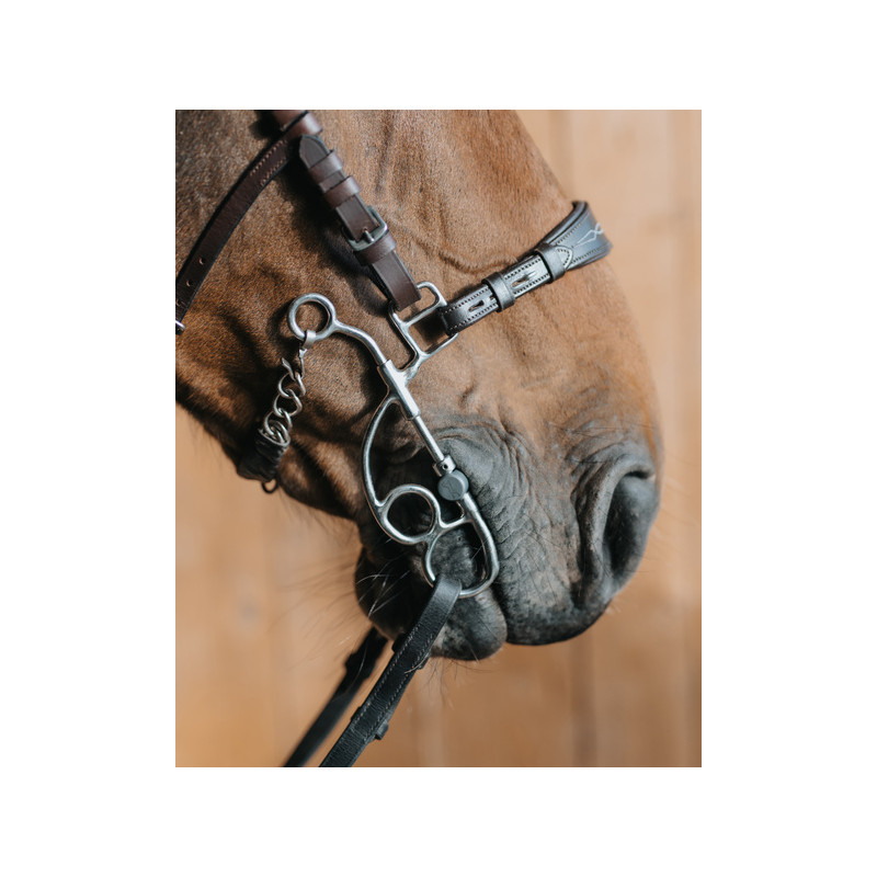 Short branches of Tandem or Hackamore OTTO