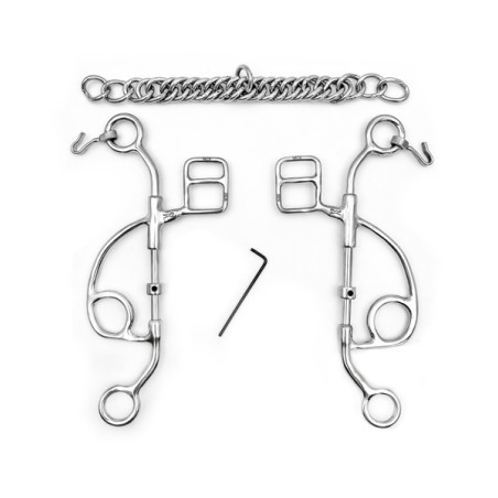 Branches moyennes de Tandem ou Hackamore OTTO