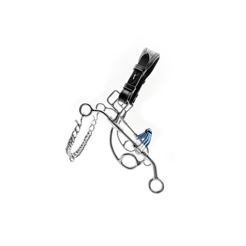 Noseband for Hackamore or Tandem OTTO