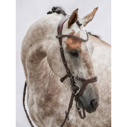 Nirak Bridle