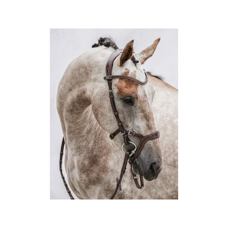Nirak Bridle
