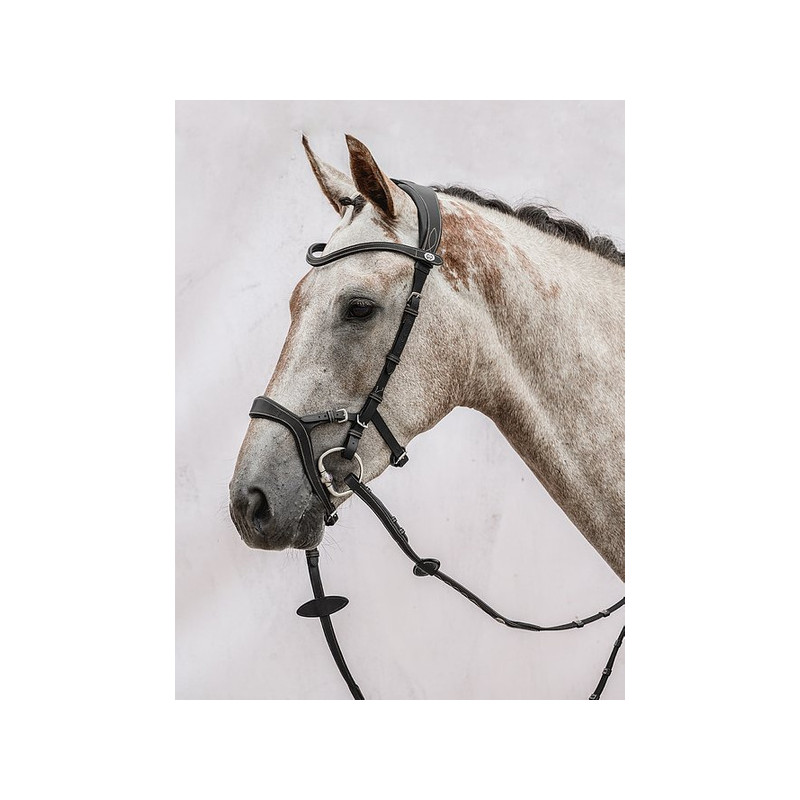 Nirak Bridle
