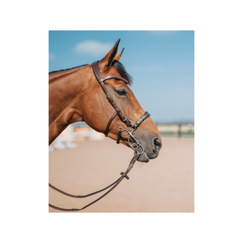 Noseband for Hackamore or Tandem OTTO