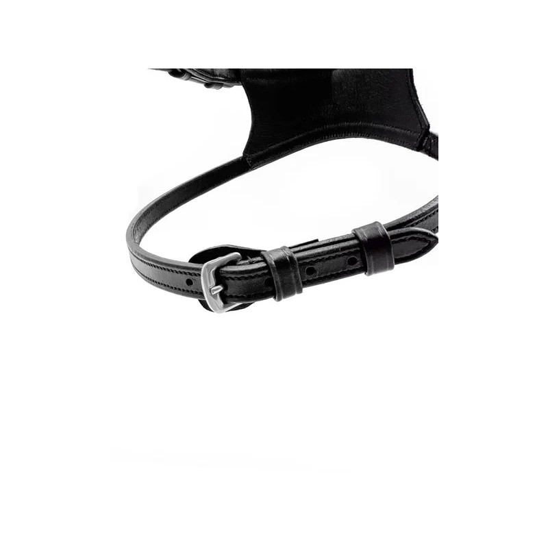 Noseband MARCO for Hackamore or Tandem OTTO Fager