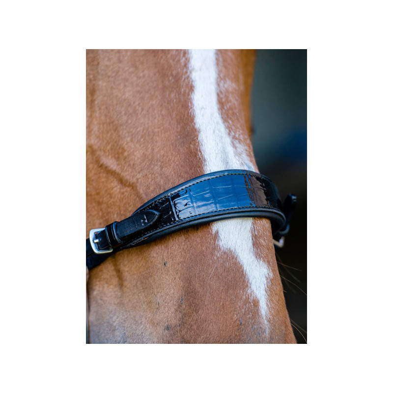 Leather noseband for hackamore Ps of Sweden Lacquered crocodile
