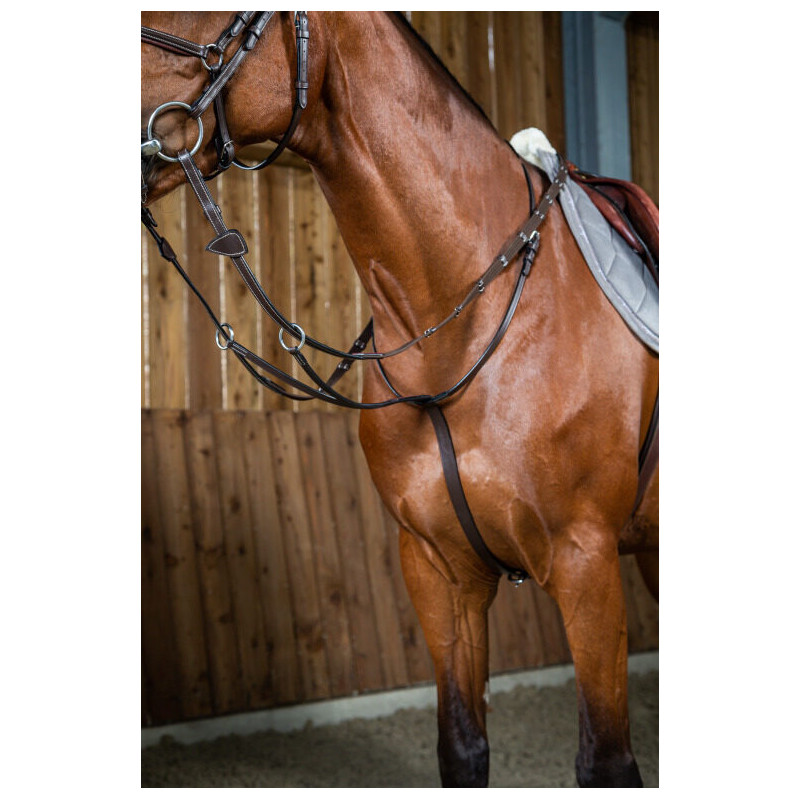 Running Martingale Working