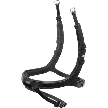 EQUITUS ALPHA NOSEBAND