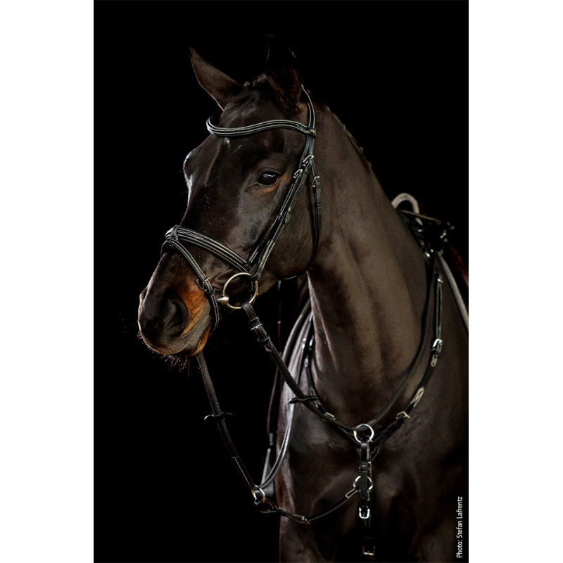 Tokyo FANCY Select Bridle