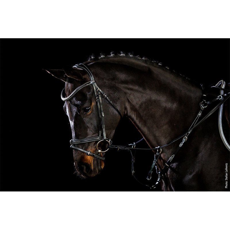 Tokyo FANCY Select Bridle