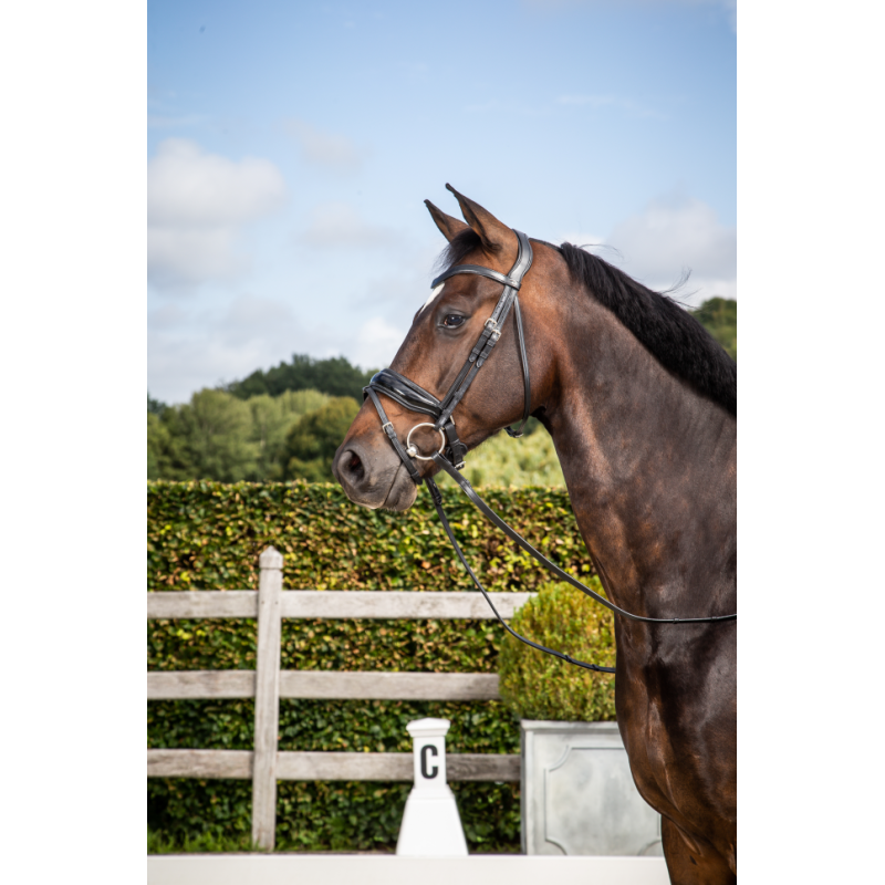 Patent Large Crank Noseband Bridle With Flash - DYON
