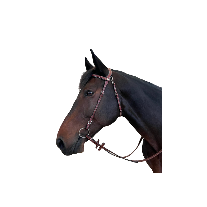 Freedom Bridle FLAGS&CUP