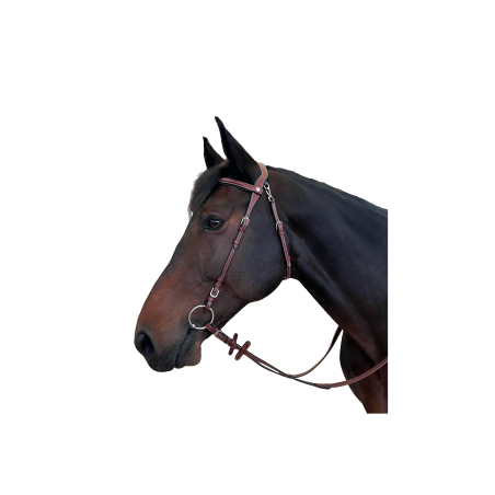 Freedom Bridle FLAGS&CUP