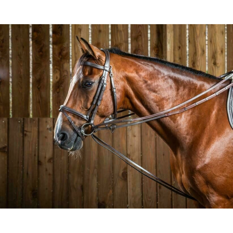 Hunter Draw Reins 1/2 - Working by Dy'on